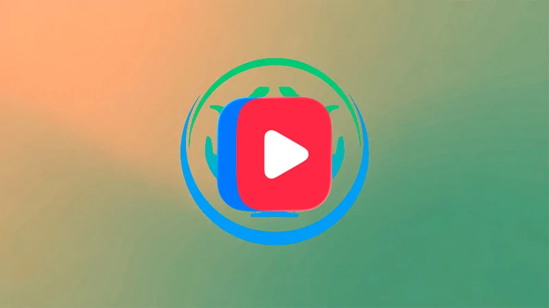 Видео VK